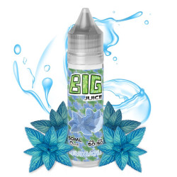 Big Juice - Menthe Glaciale- 50ML