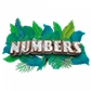 Numbers